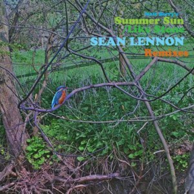 Matt Berry - Summer Sun / Like Stone (Sean Ono Lennon Remixes) (Vinyl) (US Import)