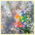 Four Tet - Sixteen Oceans (Vinyl) (US Import)