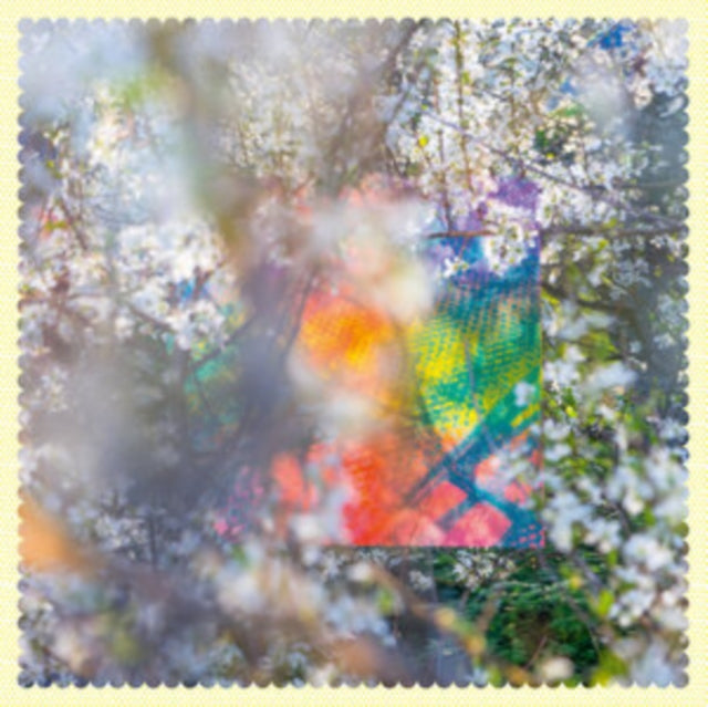 Four Tet - Sixteen Oceans (Vinyl) (US Import)