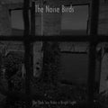 Noise Birds - Dark Sea Hides A Bright Light (Vinyl) (US Import)