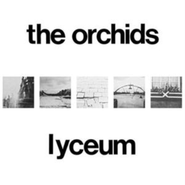 Orchids - Lyceum (2LP) (Vinyl) (US Import)