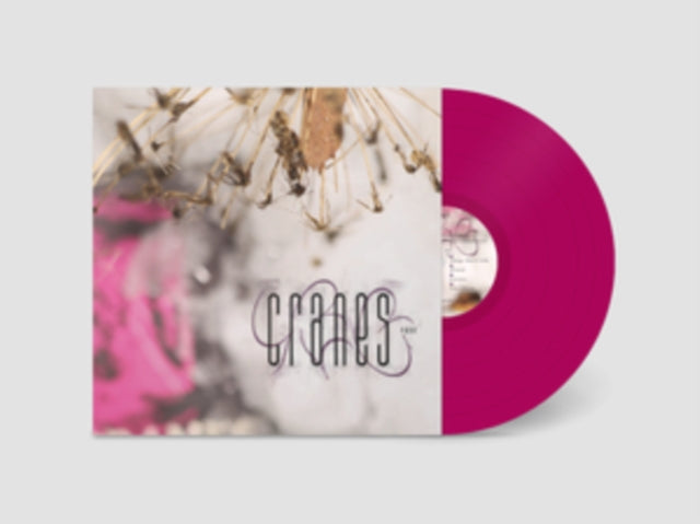 Cranes - Fuse (Magenta Vinyl) (Vinyl) (US Import)