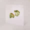 Mauno - Really Well (Vinyl) (US Import)