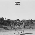 Louis Vi - Earthling (Vinyl) (US Import)