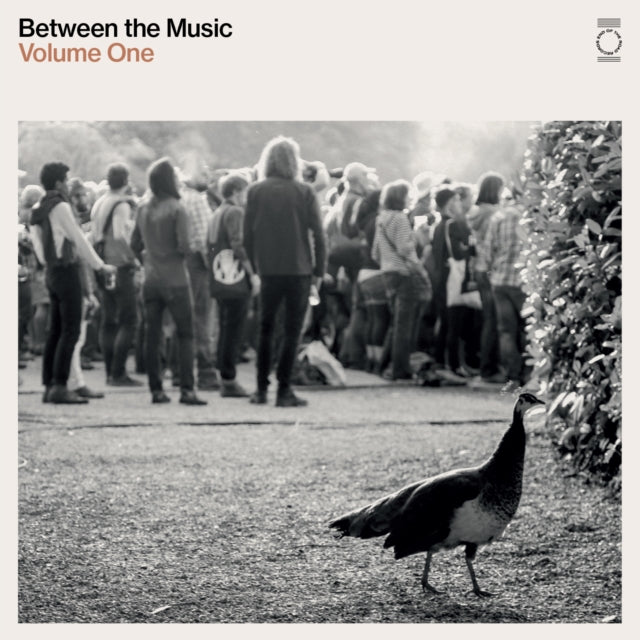 Various Artists - End Of The Road Presents: Between The Music (2LP) (Vinyl) (US Import)