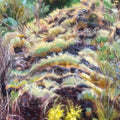 Swim Surreal - In The Half Light (CD) (US Import)