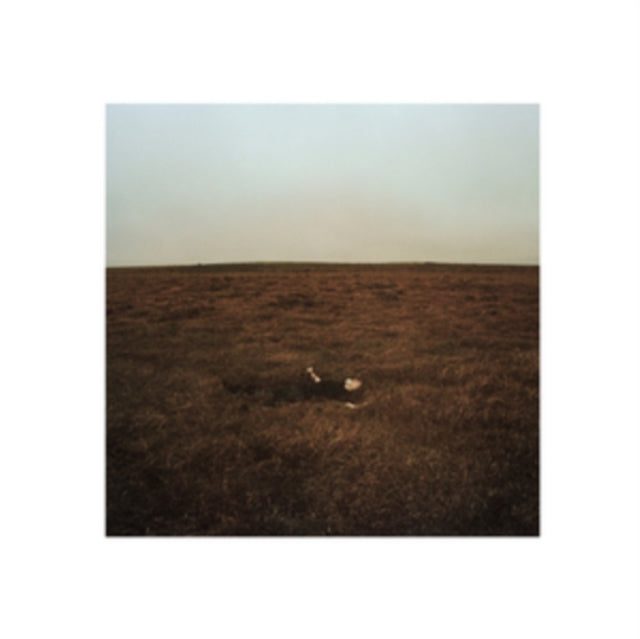 Fink - City Is Coming To Erase It All (CD)