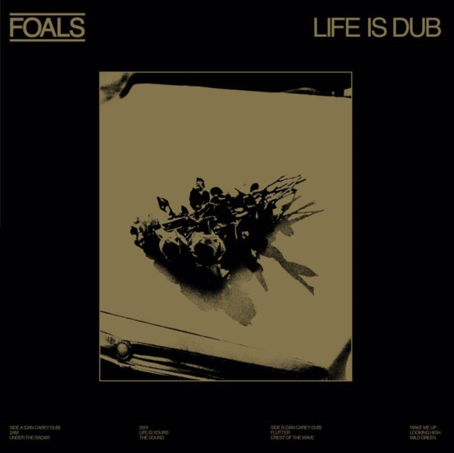 Foals - Life Is Dub (Gold Vinyl) (Vinyl) (US Import)