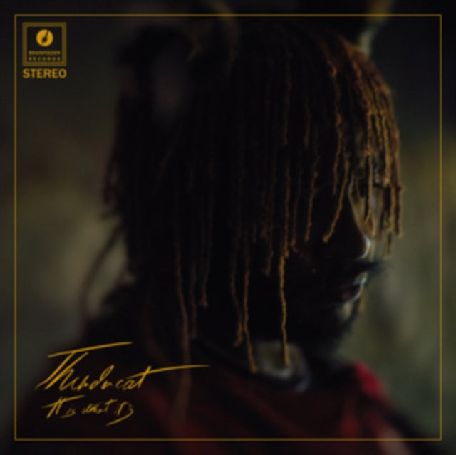 Thundercat - It Is What It Is (Red Vinyl/140g/3Mm Spined Sleeve/Gold Foil) (Vinyl) (US Import)