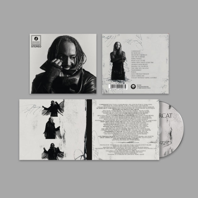 Thundercat - Distracted (CD)