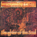 At The Gates - Slaughter Of The Soul (Vinyl) (US Import)
