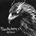 Buckcherry - Hellbound (Vinyl) (US Import)