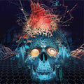 Papa Roach - Connection (Vinyl) (US Import)