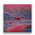 O'Flynn - Kairos (2LP) (Vinyl) (US Import)