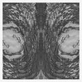 Necro Deathmort - Capsule (Vinyl) (US Import)