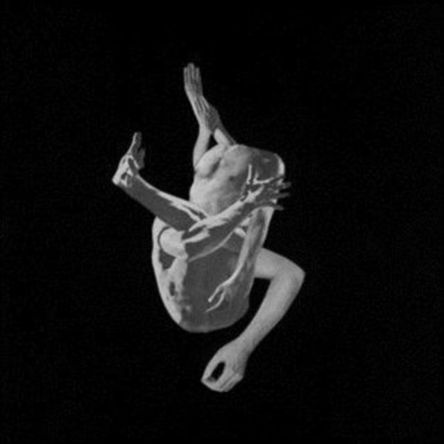 Autumns - Suffocating Brothers (Vinyl) (US Import)