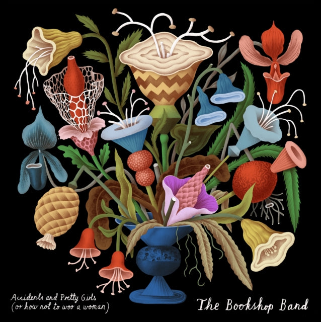 Bookshop Band - Accidents & Pretty Girls (CD)
