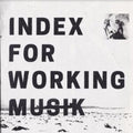 Index For Working Musik - Dragging The Needlework For The Kids At Uphole (Vinyl) (US Import)