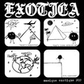 Exotica - Musique Exotique #03 (Vinyl Single) (US Import)