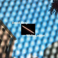 David Gray - White Ladder (20th Anniversary Edition) (CD)