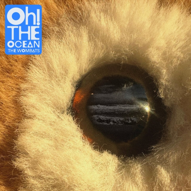 Wombats - Oh! The Ocean (Transparent Blue Vinyl) (Vinyl) (US Import)