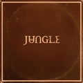 Jungle - Sunshine (Vinyl) (US Import)