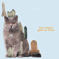 Brian Jonestown Massacre - Fire Doesn't Grow On Trees (Vinyl) (US Import)