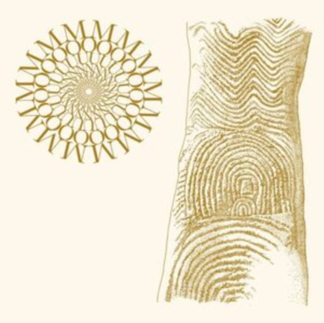 Moundabout - Flowers Rot, Bring Me Stones (Brown & Clear Speckle Vinyl) (Vinyl) (US Import)