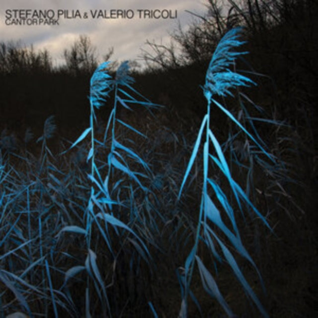 Pilia,Stefano & Valerio Tricoli - Cantor Park (Coloured Vinyl) (Vinyl) (US Import)