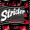 Strider - Misunderstood (CD)