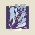 Salamanda - In Parallel (Vinyl) (US Import)