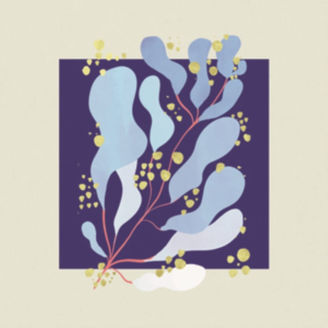 Salamanda - In Parallel (Vinyl) (US Import)