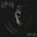 Dead Void - Cranial Devastation (Vinyl) (US Import)