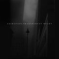 Animation - Transparent Heart (CD)