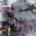 Indigo Mist - That The Days Go By & (CD)