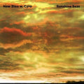 New Zion W.Cyro - Sunshine Seas (CD)