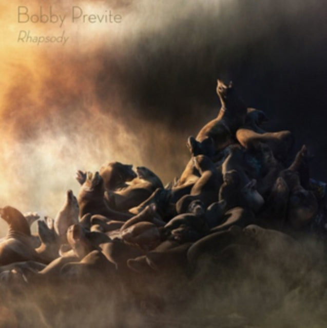 Bobby Previte - Rhapsody (Vinyl) (US Import)