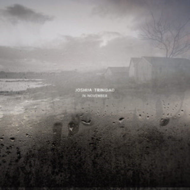 Joshua Trinidad - In November (CD)