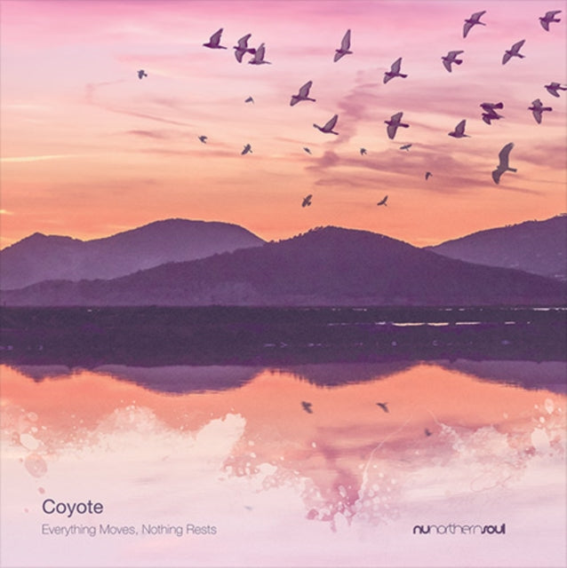 Coyote - Everything Moves, Nothing Rests (Vinyl) (US Import)