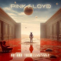 Pink Floyd - Us & Them - Florida Live 1972 (CD)