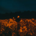 Benjamin Francis Leftwich - Some Things Break (Evening Sky Vinyl) (Vinyl) (US Import)