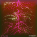 Leifur James - Magic Seeds (180g) (Vinyl) (US Import)