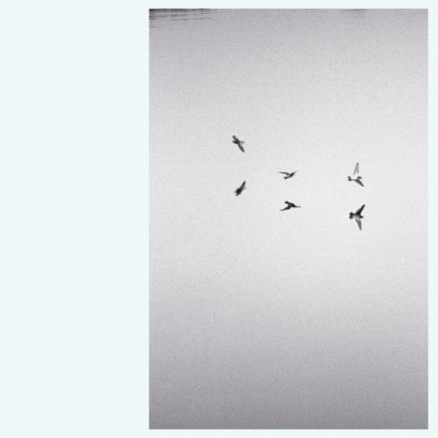 Kirk Barley - Landscapes (Vinyl) (US Import)