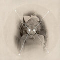 Current 93 - Light Is Leaving Us All (Picture Disc) (Vinyl) (US Import)