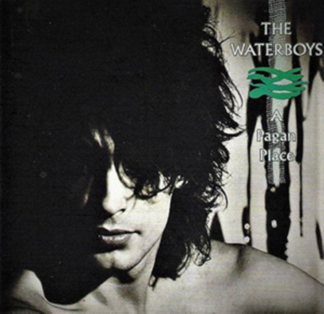 Waterboys - Pagan Place (CD) (US Import)