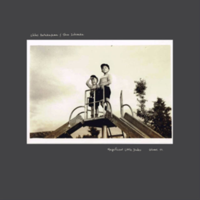 Hatakayama,Chihei & Shun Ishiwaka - Magnificent Little Dudes Vol. 1 (Vinyl) (US Import)