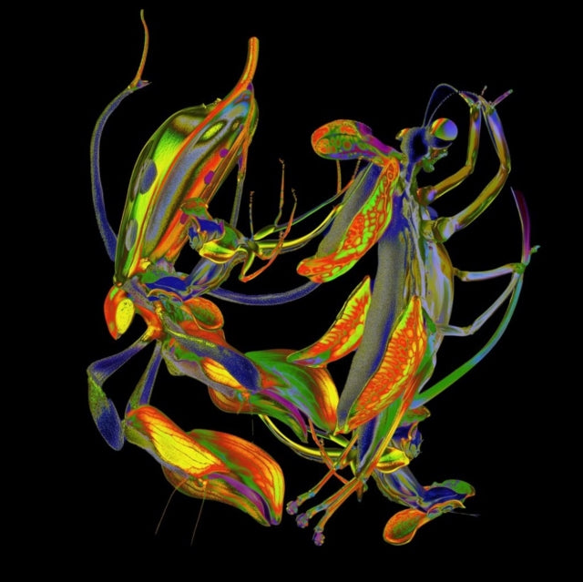 DJ Nobu - Sho (Vinyl) (US Import)
