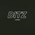 Ditz - 5 Songs (Starlit Green Vinyl) (Vinyl) (US Import)