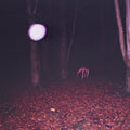Buzzard Buzzard Buzzard - Skinwalker (CD)