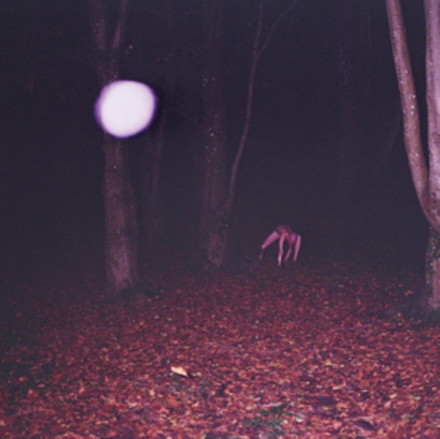 Buzzard Buzzard Buzzard - Skinwalker (CD)